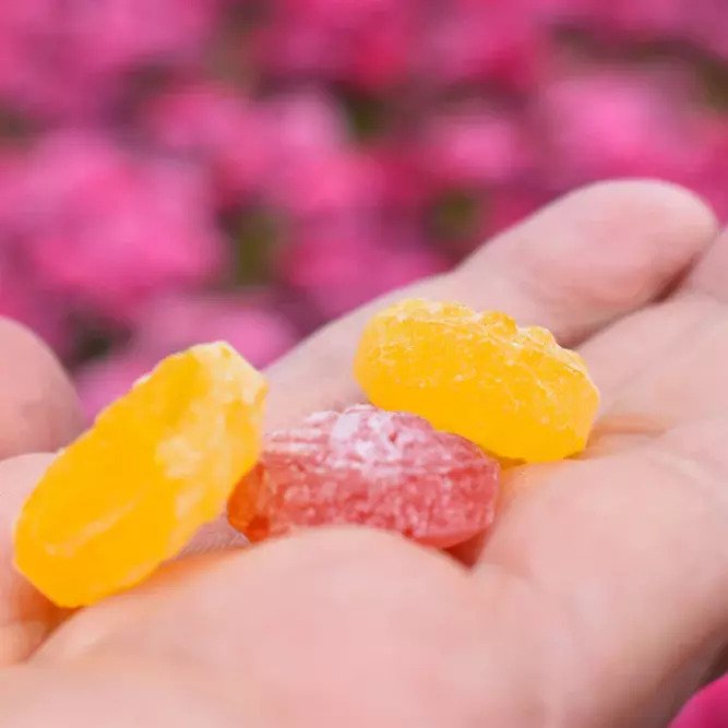 Bonbon｜キャンディー