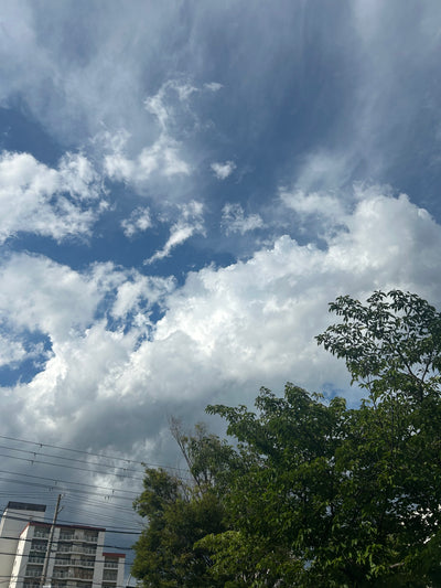 L’accent summer edition