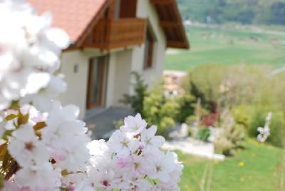 2025春セレクション